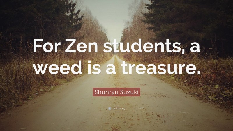 Shunryu Suzuki Quote: “For Zen students, a weed is a treasure.”