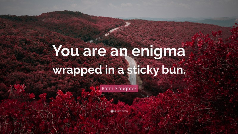 Karin Slaughter Quote: “You are an enigma wrapped in a sticky bun.”