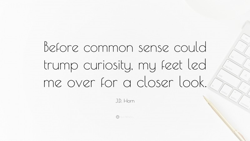 J.D. Horn Quote: “Before common sense could trump curiosity, my feet led me over for a closer look.”