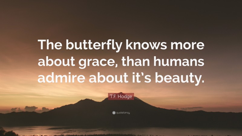T.F. Hodge Quote: “The butterfly knows more about grace, than humans admire about it’s beauty.”