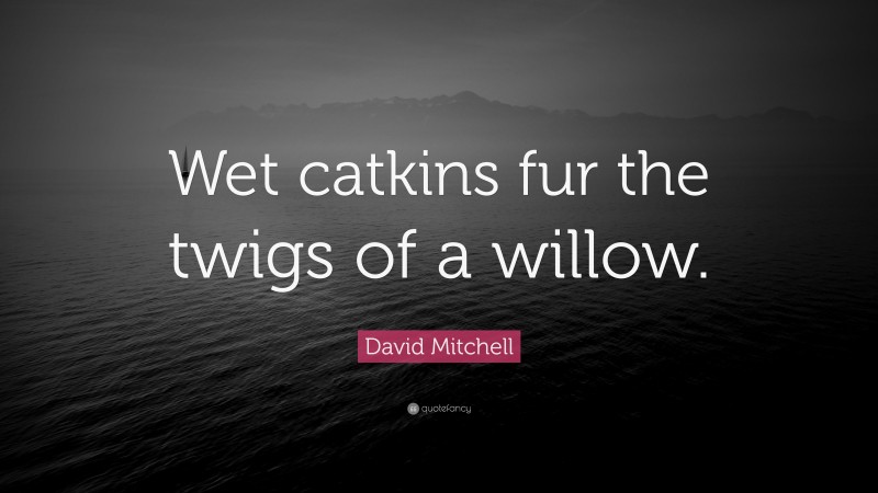 David Mitchell Quote: “Wet catkins fur the twigs of a willow.”