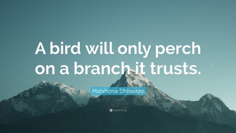 Matshona Dhliwayo Quote: “A bird will only perch on a branch it trusts.”