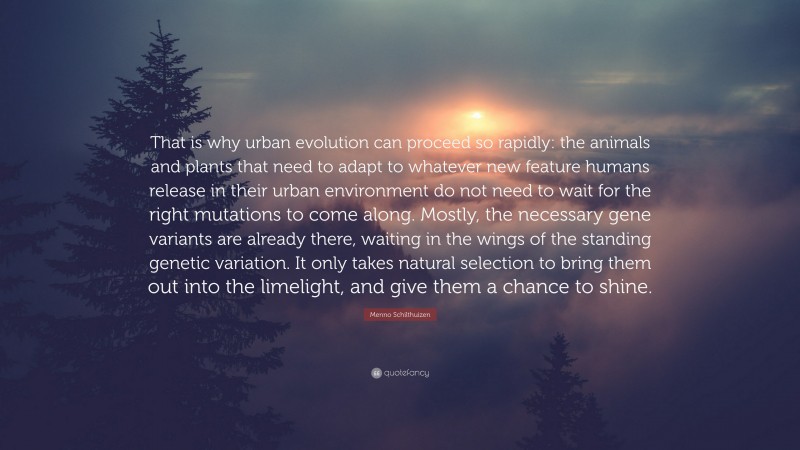 Menno Schilthuizen Quote: “That is why urban evolution can proceed so rapidly: the animals and plants that need to adapt to whatever new feature humans release in their urban environment do not need to wait for the right mutations to come along. Mostly, the necessary gene variants are already there, waiting in the wings of the standing genetic variation. It only takes natural selection to bring them out into the limelight, and give them a chance to shine.”