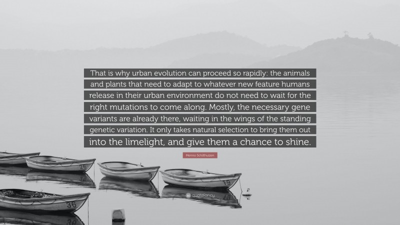 Menno Schilthuizen Quote: “That is why urban evolution can proceed so rapidly: the animals and plants that need to adapt to whatever new feature humans release in their urban environment do not need to wait for the right mutations to come along. Mostly, the necessary gene variants are already there, waiting in the wings of the standing genetic variation. It only takes natural selection to bring them out into the limelight, and give them a chance to shine.”
