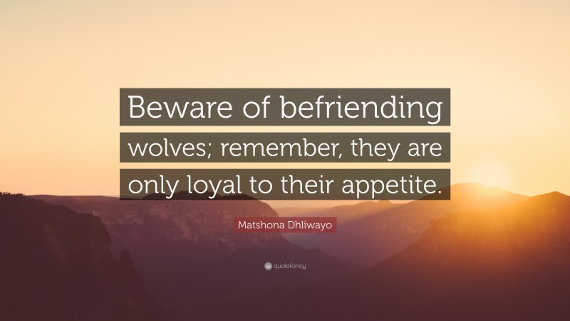 Matshona Dhliwayo Quote: “Beware of befriending wolves; remember, they are only loyal to their appetite.”