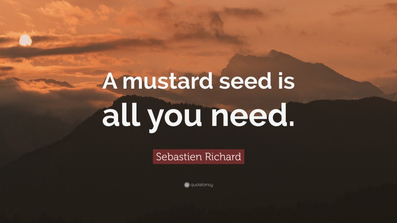 Sebastien Richard Quote: “A mustard seed is all you need.”
