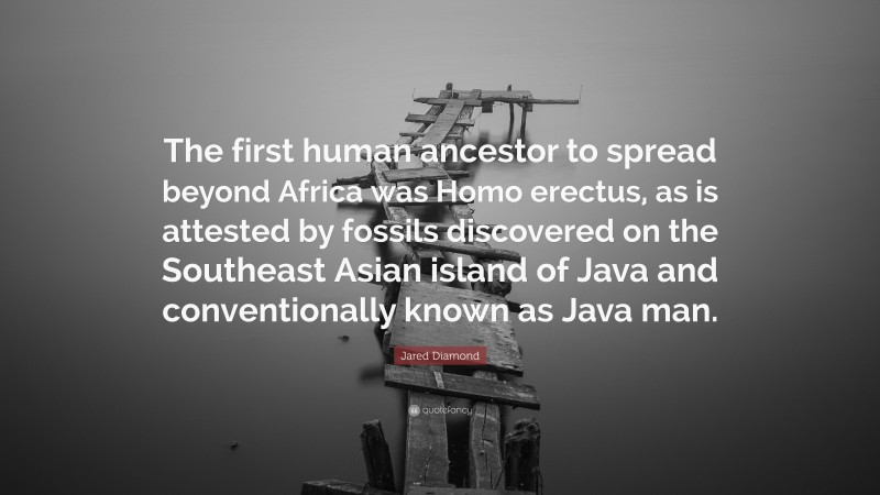 Jared Diamond Quote: “The first human ancestor to spread beyond Africa was Homo erectus, as is attested by fossils discovered on the Southeast Asian island of Java and conventionally known as Java man.”