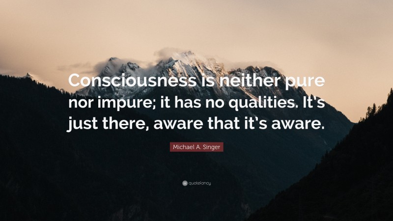 Michael A. Singer Quote: “Consciousness is neither pure nor impure; it has no qualities. It’s just there, aware that it’s aware.”
