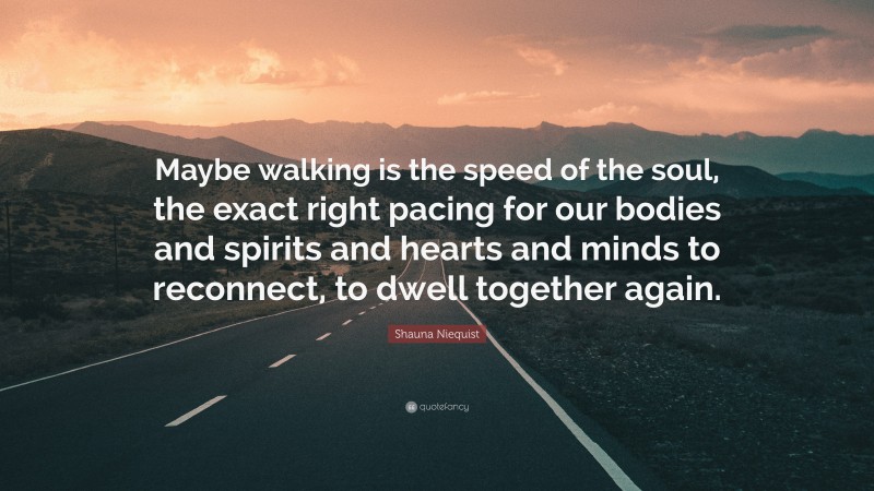 Shauna Niequist Quote: “Maybe walking is the speed of the soul, the exact right pacing for our bodies and spirits and hearts and minds to reconnect, to dwell together again.”