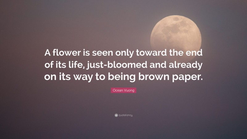 Ocean Vuong Quote: “A flower is seen only toward the end of its life, just-bloomed and already on its way to being brown paper.”