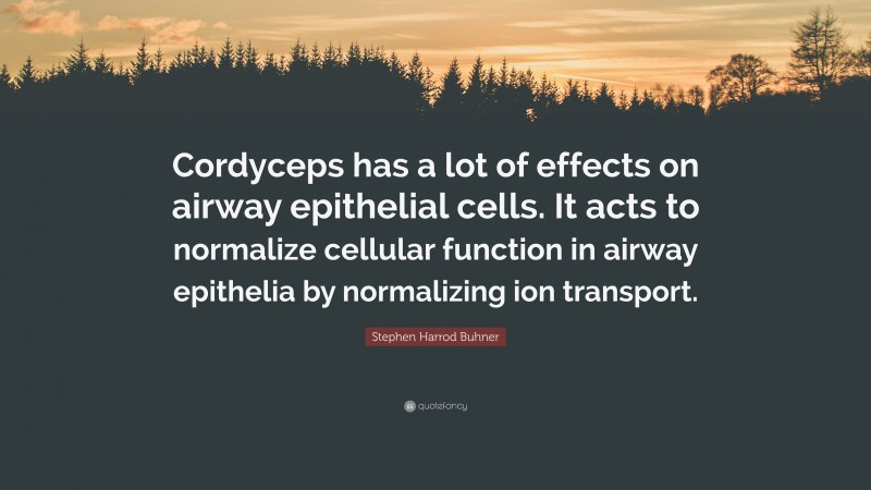 Stephen Harrod Buhner Quote: “Cordyceps has a lot of effects on airway epithelial cells. It acts to normalize cellular function in airway epithelia by normalizing ion transport.”