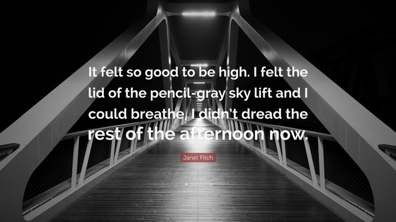 Janet Fitch Quote: “It felt so good to be high. I felt the lid of the pencil-gray sky lift and I could breathe, I didn’t dread the rest of the afternoon now.”