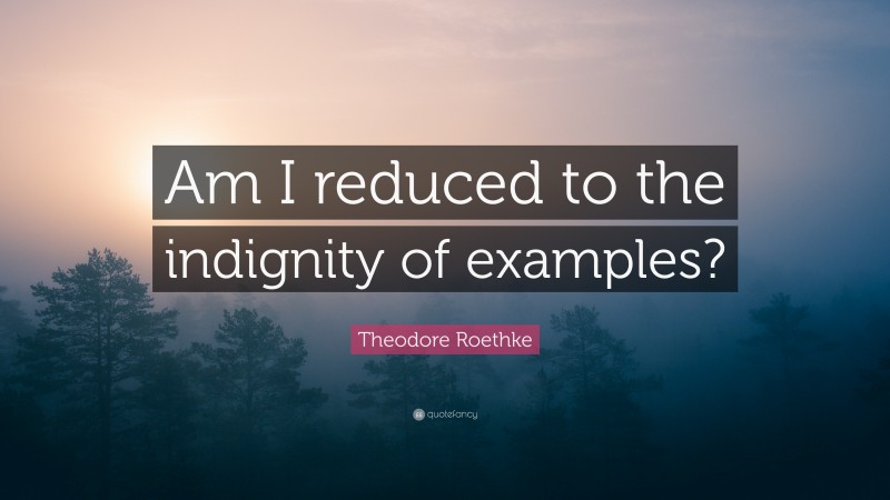 Theodore Roethke Quote: “Am I reduced to the indignity of examples?”