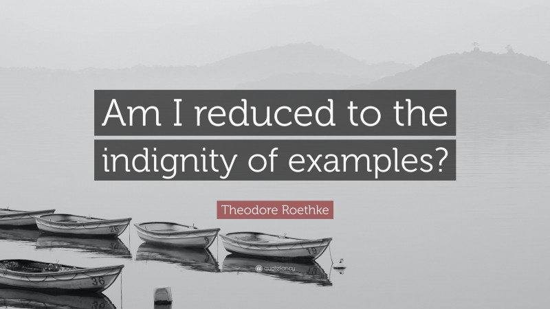Theodore Roethke Quote: “Am I reduced to the indignity of examples?”
