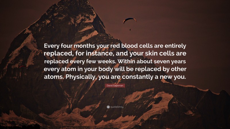 David Eagleman Quote: “Every four months your red blood cells are entirely replaced, for instance, and your skin cells are replaced every few weeks. Within about seven years every atom in your body will be replaced by other atoms. Physically, you are constantly a new you.”