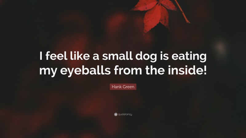 Hank Green Quote: “I feel like a small dog is eating my eyeballs from the inside!”