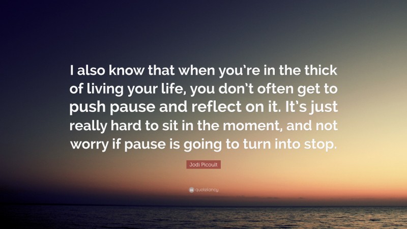 Jodi Picoult Quote: “I also know that when you’re in the thick of living your life, you don’t often get to push pause and reflect on it. It’s just really hard to sit in the moment, and not worry if pause is going to turn into stop.”