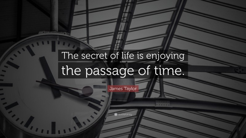 James Taylor Quote: “The secret of life is enjoying the passage of time.”
