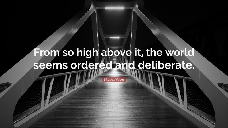 Nicola Yoon Quote: “From so high above it, the world seems ordered and deliberate.”