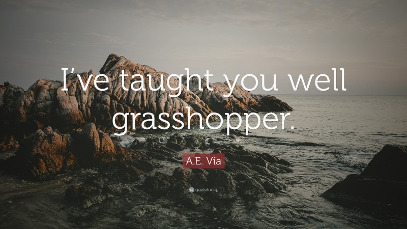 A.E. Via Quote: “I’ve taught you well grasshopper.”