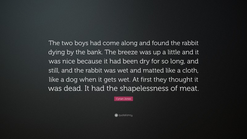 Cynan Jones Quote: “The two boys had come along and found the rabbit dying by the bank. The breeze was up a little and it was nice because it had been dry for so long, and still, and the rabbit was wet and matted like a cloth, like a dog when it gets wet. At first they thought it was dead. It had the shapelessness of meat.”