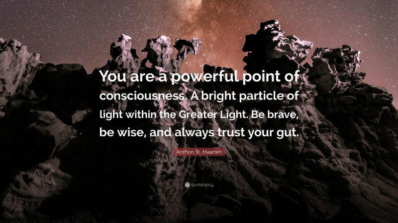 Anthon St. Maarten Quote: “You are a powerful point of consciousness. A bright particle of light within the Greater Light. Be brave, be wise, and always trust your gut.”