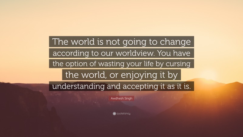 Awdhesh Singh Quote: “The world is not going to change according to our worldview. You have the option of wasting your life by cursing the world, or enjoying it by understanding and accepting it as it is.”