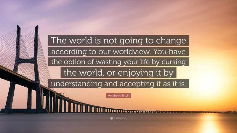 Awdhesh Singh Quote: “The world is not going to change according to our worldview. You have the option of wasting your life by cursing the world, or enjoying it by understanding and accepting it as it is.”