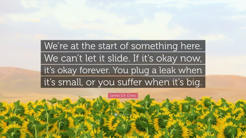 James S.A. Corey Quote: “We’re at the start of something here. We can’t let it slide. If it’s okay now, it’s okay forever. You plug a leak when it’s small, or you suffer when it’s big.”