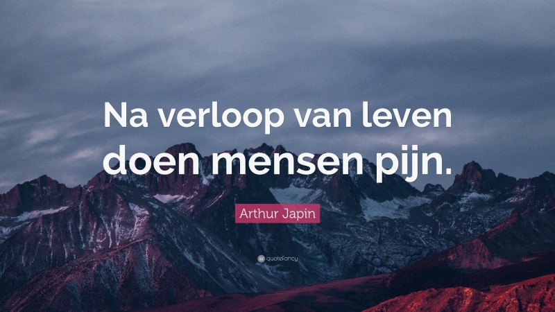 Arthur Japin Quote: “Na verloop van leven doen mensen pijn.”