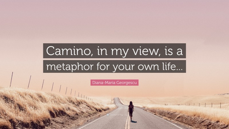 Diana-Maria Georgescu Quote: “Camino, in my view, is a metaphor for your own life...”