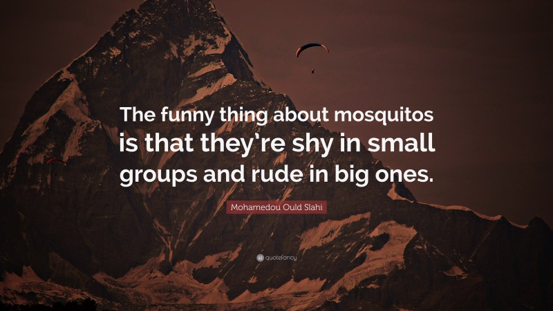 Mohamedou Ould Slahi Quote: “The funny thing about mosquitos is that they’re shy in small groups and rude in big ones.”