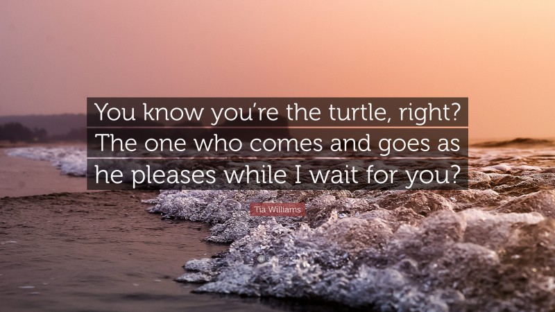 Tia Williams Quote: “You know you’re the turtle, right? The one who comes and goes as he pleases while I wait for you?”