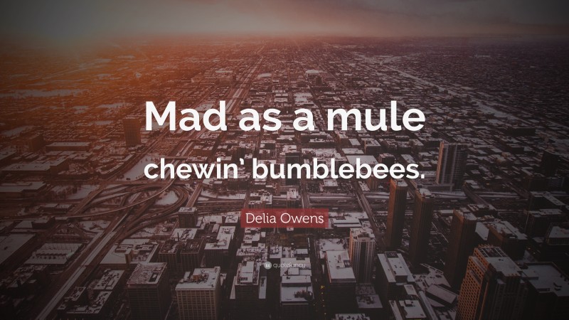 Delia Owens Quote: “Mad as a mule chewin’ bumblebees.”