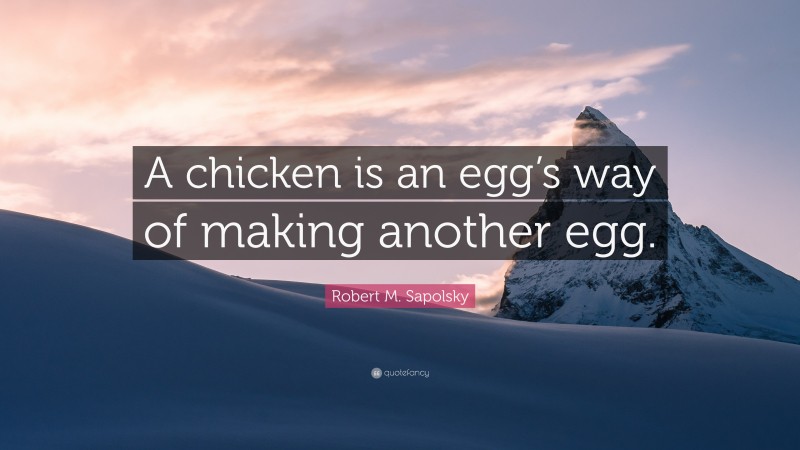 Robert M. Sapolsky Quote: “A chicken is an egg’s way of making another egg.”