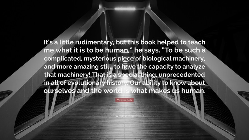 Veronica Roth Quote: “It’s a little rudimentary, but this book helped to teach me what it is to be human,” he says. “To be such a complicated, mysterious piece of biological machinery, and more amazing still, to have the capacity to analyze that machinery! That is a special thing, unprecedented in all of evolutionary history. Our ability to know about ourselves and the world is what makes us human.”