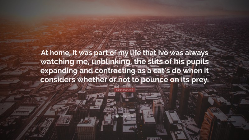 Sarah Monette Quote: “At home, it was part of my life that Ivo was always watching me, unblinking, the slits of his pupils expanding and contracting as a cat’s do when it considers whether or not to pounce on its prey.”