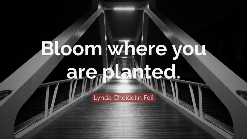 Lynda Cheldelin Fell Quote: “Bloom where you are planted.”