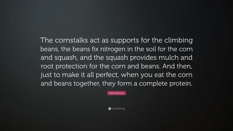 Abbi Waxman Quote: “The cornstalks act as supports for the climbing beans, the beans fix nitrogen in the soil for the corn and squash, and the squash provides mulch and root protection for the corn and beans. And then, just to make it all perfect, when you eat the corn and beans together, they form a complete protein.”