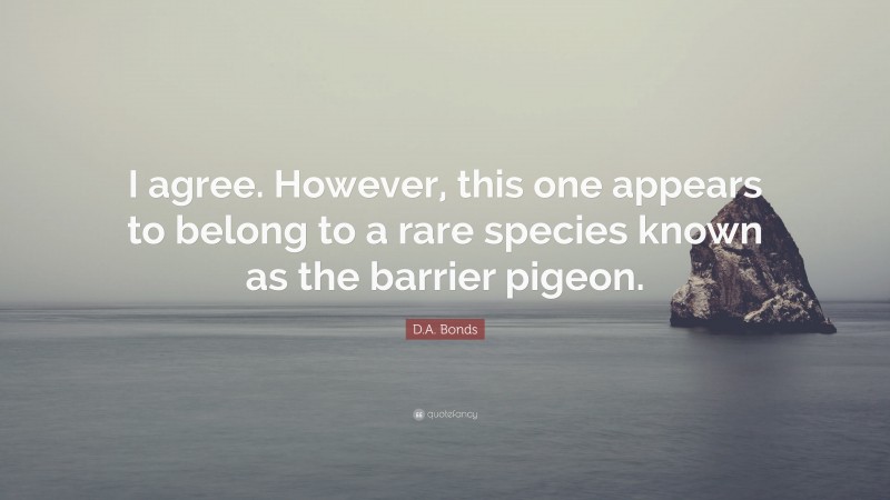 D.A. Bonds Quote: “I agree. However, this one appears to belong to a rare species known as the barrier pigeon.”