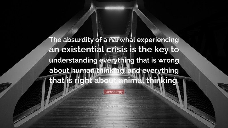 Justin Gregg Quote: “The absurdity of a narwhal experiencing an existential crisis is the key to understanding everything that is wrong about human thinking, and everything that is right about animal thinking.”