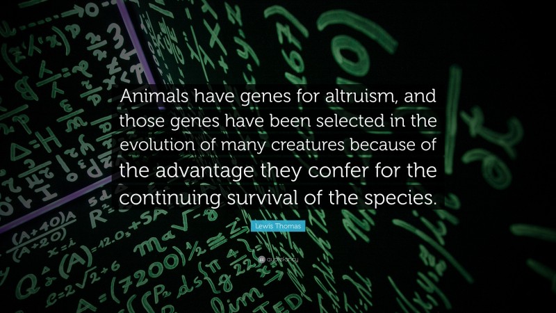 Lewis Thomas Quote: “Animals have genes for altruism, and those genes have been selected in the evolution of many creatures because of the advantage they confer for the continuing survival of the species.”