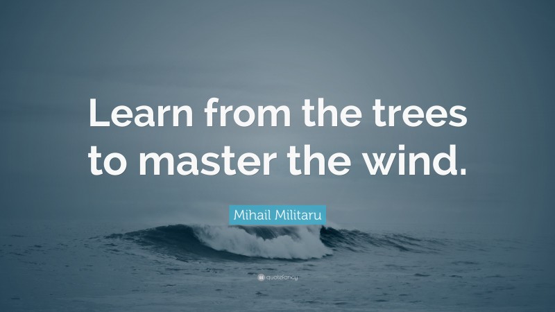 Mihail Militaru Quote: “Learn from the trees to master the wind.”