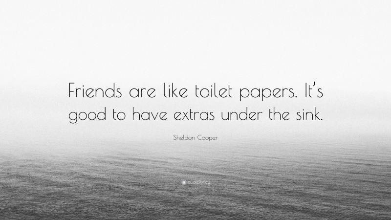 Sheldon Cooper Quote: “Friends are like toilet papers. It’s good to have extras under the sink.”