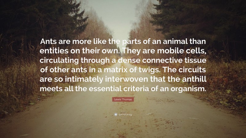 Lewis Thomas Quote: “Ants are more like the parts of an animal than entities on their own. They are mobile cells, circulating through a dense connective tissue of other ants in a matrix of twigs. The circuits are so intimately interwoven that the anthill meets all the essential criteria of an organism.”