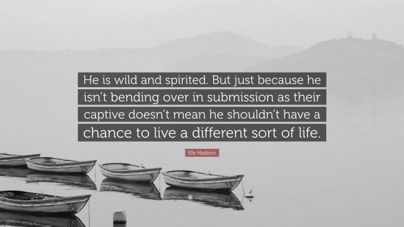 Elle Madison Quote: “He is wild and spirited. But just because he isn’t bending over in submission as their captive doesn’t mean he shouldn’t have a chance to live a different sort of life.”