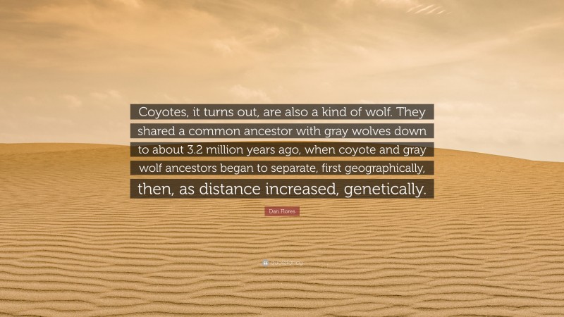 Dan Flores Quote: “Coyotes, it turns out, are also a kind of wolf. They shared a common ancestor with gray wolves down to about 3.2 million years ago, when coyote and gray wolf ancestors began to separate, first geographically, then, as distance increased, genetically.”