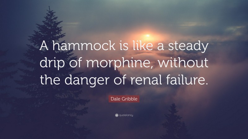 Dale Gribble Quote: “A hammock is like a steady drip of morphine, without the danger of renal failure.”