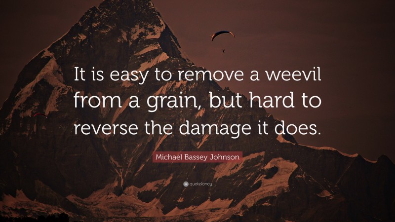 Michael Bassey Johnson Quote: “It is easy to remove a weevil from a grain, but hard to reverse the damage it does.”
