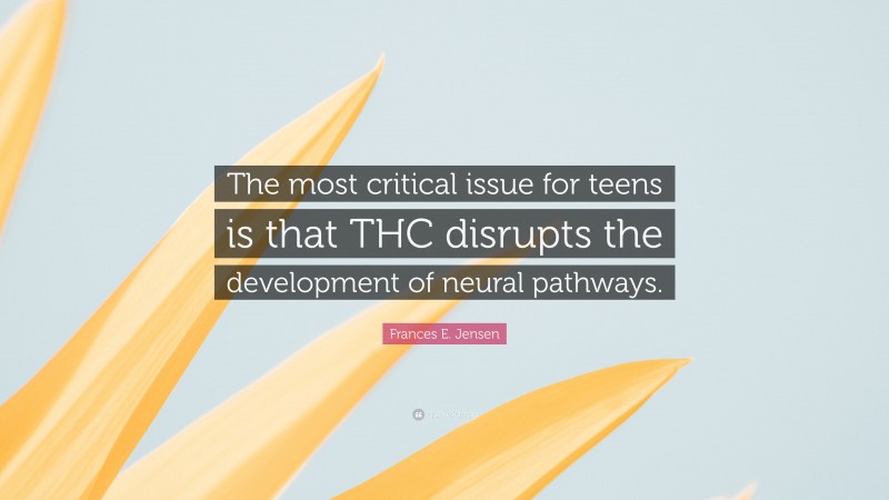 Frances E. Jensen Quote: “The most critical issue for teens is that THC disrupts the development of neural pathways.”